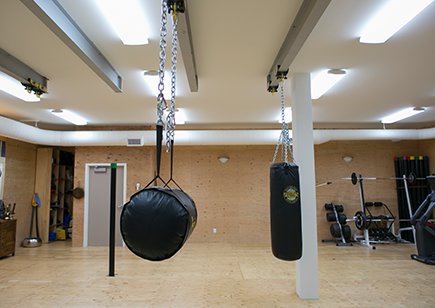 Punching bags hanging in gym room